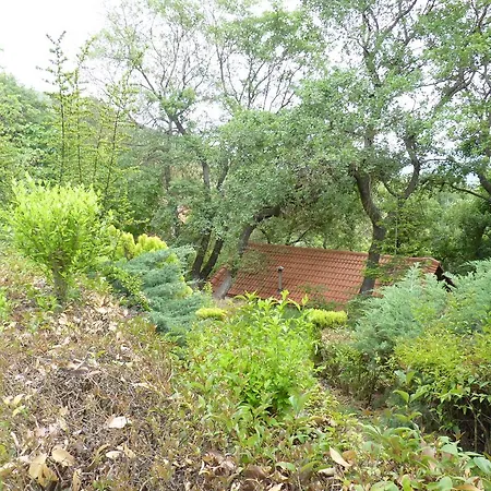 Pensión Chalets Tetrapolis Palaiokhórion