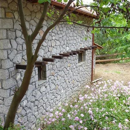 Chalets Tetrapolis * Palaiokhórion