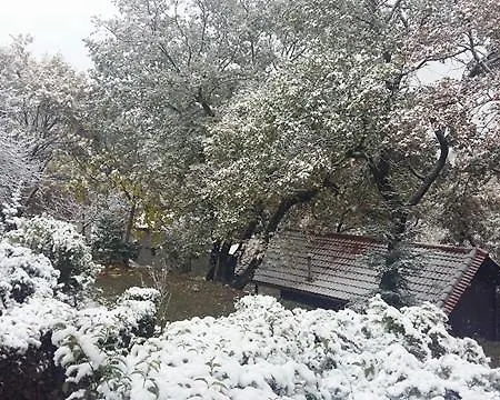 Chalets Tetrapolis * Palaiokhórion